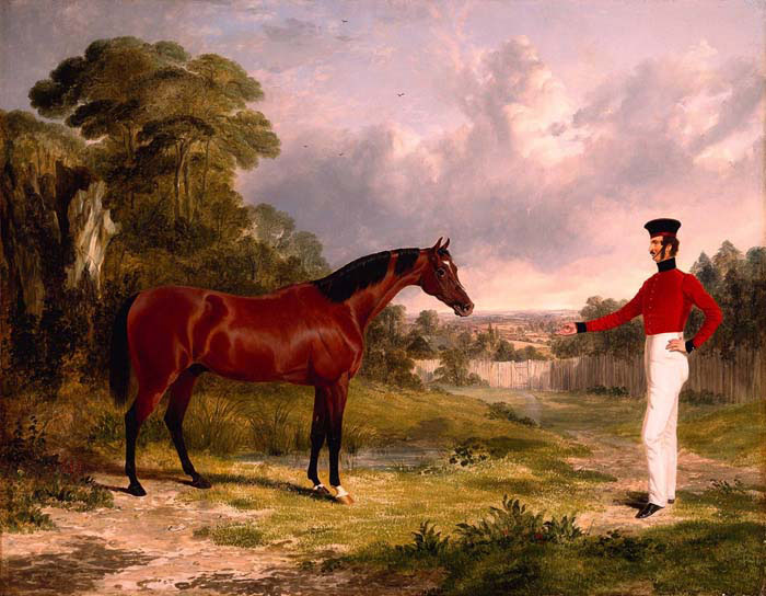 a soldier with an officer s charger